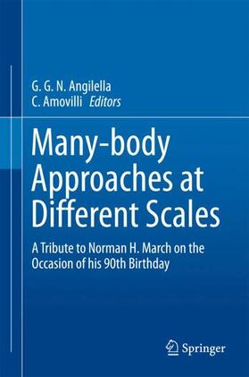Amovilli / Angilella |  Many-body Approaches at Different Scales | Buch |  Sack Fachmedien