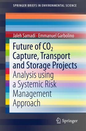 Garbolino / Samadi |  Future of CO2 Capture, Transport and Storage Projects | Buch |  Sack Fachmedien
