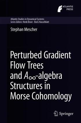 Mescher |  Perturbed Gradient Flow Trees and A¿-algebra Structures in Morse Cohomology | Buch |  Sack Fachmedien