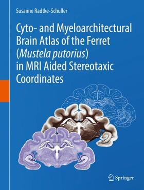 Radtke-Schuller |  Cyto- and Myeloarchitectural Brain Atlas of the Ferret (Mustela putorius) in MRI Aided Stereotaxic Coordinates | Buch |  Sack Fachmedien