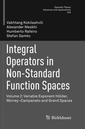 Kokilashvili / Samko / Meskhi |  Integral Operators in Non-Standard Function Spaces | Buch |  Sack Fachmedien