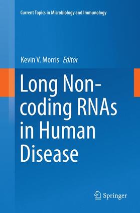 Morris |  Long Non-coding RNAs in Human Disease | Buch |  Sack Fachmedien