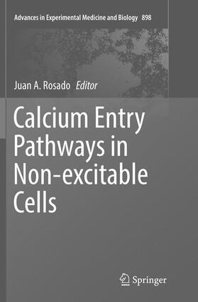 Rosado |  Calcium Entry Pathways in Non-excitable Cells | Buch |  Sack Fachmedien