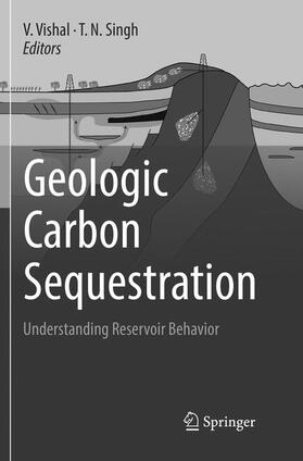 Singh / Vishal |  Geologic Carbon Sequestration | Buch |  Sack Fachmedien