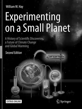 Hay |  Experimenting on a Small Planet | Buch |  Sack Fachmedien