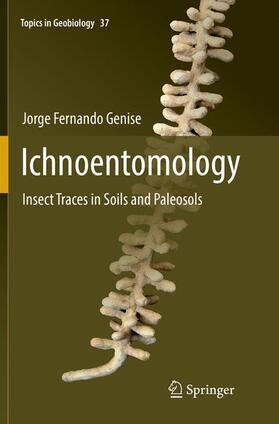 Genise |  Ichnoentomology | Buch |  Sack Fachmedien