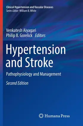 Gorelick / Aiyagari |  Hypertension and Stroke | Buch |  Sack Fachmedien