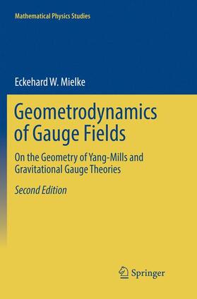 Mielke |  Geometrodynamics of Gauge Fields | Buch |  Sack Fachmedien