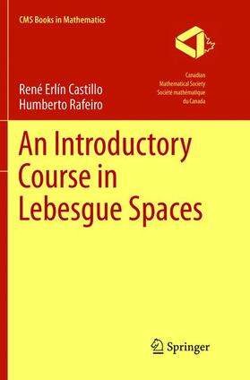 Rafeiro / Castillo |  An Introductory Course in Lebesgue Spaces | Buch |  Sack Fachmedien