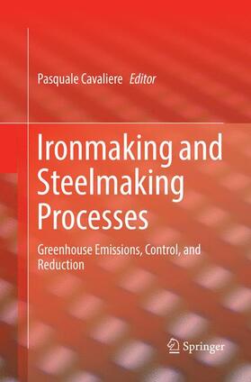 Cavaliere |  Ironmaking and Steelmaking Processes | Buch |  Sack Fachmedien