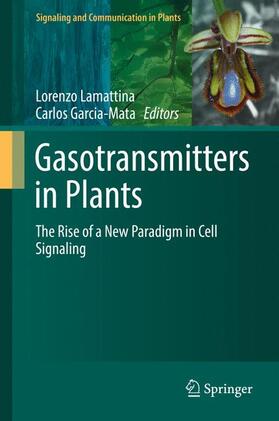 García-Mata / Lamattina |  Gasotransmitters in Plants | Buch |  Sack Fachmedien