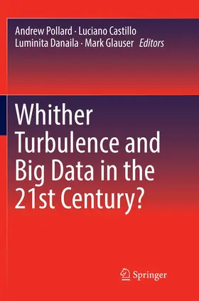 Pollard / Glauser / Castillo |  Whither Turbulence and Big Data in the 21st Century? | Buch |  Sack Fachmedien