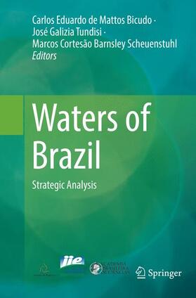de Mattos Bicudo / Cortesão Barnsley Scheuenstuhl / Galizia Tundisi |  Waters of Brazil | Buch |  Sack Fachmedien