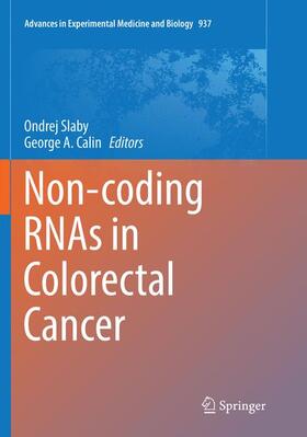 Calin / Slaby |  Non-coding RNAs in Colorectal Cancer | Buch |  Sack Fachmedien