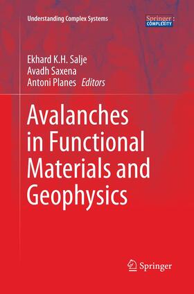Salje / Planes / Saxena |  Avalanches in Functional Materials and Geophysics | Buch |  Sack Fachmedien