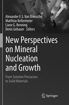 Van Driessche / Gebauer / Kellermeier |  New Perspectives on Mineral Nucleation and Growth | Buch |  Sack Fachmedien