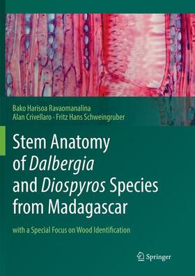 Ravaomanalina / Crivellaro / Schweingruber |  Stem Anatomy of Dalbergia and Diospyros Species from Madagascar | Buch |  Sack Fachmedien