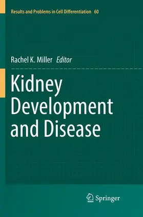 Miller |  Kidney Development and Disease | Buch |  Sack Fachmedien