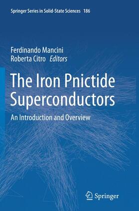 Citro / Mancini |  The Iron Pnictide Superconductors | Buch |  Sack Fachmedien