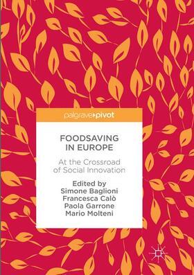 Baglioni / Molteni / Calò |  Foodsaving in Europe | Buch |  Sack Fachmedien