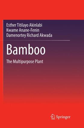 Akinlabi / Akwada / Anane-Fenin | Bamboo | Buch | 978-3-319-86007-7 | sack.de