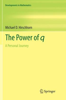 Hirschhorn |  The Power of q | Buch |  Sack Fachmedien