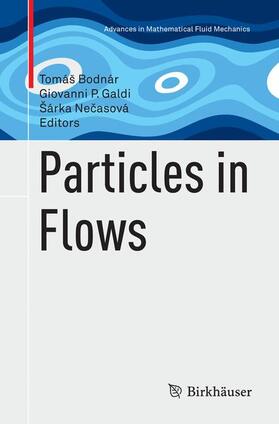 Bodnár / Necasová / Galdi |  Particles in Flows | Buch |  Sack Fachmedien