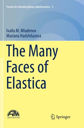 Hadzhilazova / Mladenov |  The Many Faces of Elastica | Buch |  Sack Fachmedien