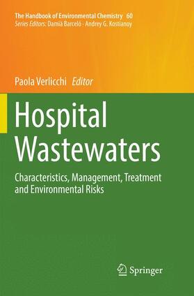 Verlicchi |  Hospital Wastewaters | Buch |  Sack Fachmedien