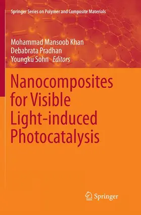 Khan / Sohn / Pradhan |  Nanocomposites for Visible Light-induced Photocatalysis | Buch |  Sack Fachmedien