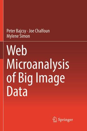 Bajcsy / Simon / Chalfoun |  Web Microanalysis of Big Image Data | Buch |  Sack Fachmedien