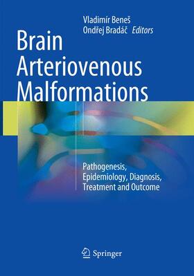 Bradác / Beneš / Bradác |  Brain Arteriovenous Malformations | Buch |  Sack Fachmedien