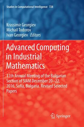 Georgiev / Todorov |  Advanced Computing in Industrial Mathematics | Buch |  Sack Fachmedien