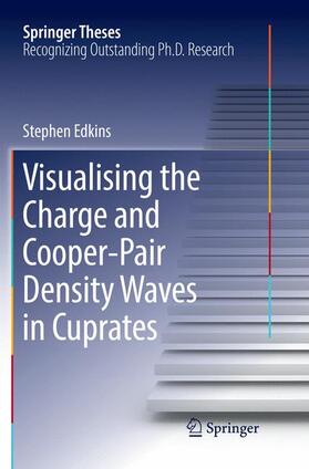 Edkins |  Visualising the Charge and Cooper-Pair Density Waves in Cuprates | Buch |  Sack Fachmedien