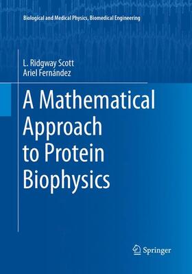 Fernández / Scott |  A Mathematical Approach to Protein Biophysics | Buch |  Sack Fachmedien