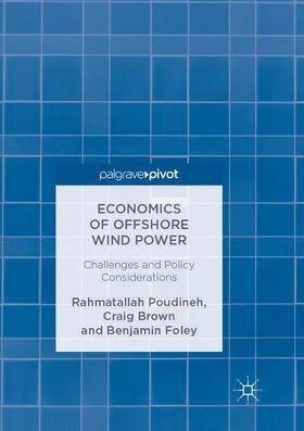Poudineh / Foley / Brown |  Economics of Offshore Wind Power | Buch |  Sack Fachmedien