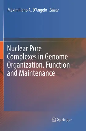 D’Angelo |  Nuclear Pore Complexes in Genome Organization, Function and Maintenance | Buch |  Sack Fachmedien