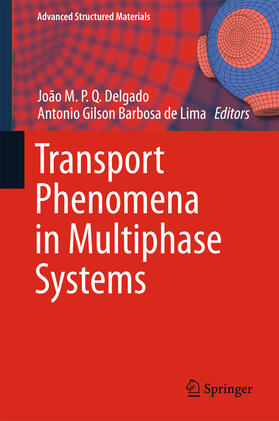 Delgado / Barbosa de Lima |  Transport Phenomena in Multiphase Systems | eBook | Sack Fachmedien