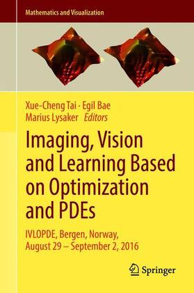 Tai / Lysaker / Bae |  Imaging, Vision and Learning Based on Optimization and PDEs | Buch |  Sack Fachmedien