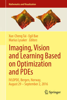 Tai / Bae / Lysaker |  Imaging, Vision and Learning Based on Optimization and PDEs | eBook | Sack Fachmedien