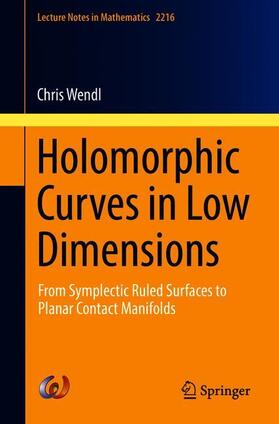 Wendl |  Holomorphic Curves in Low Dimensions | Buch |  Sack Fachmedien