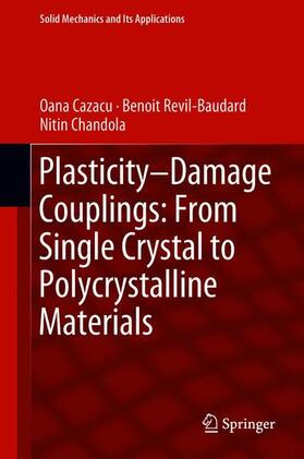 Cazacu / Chandola / Revil-Baudard |  Plasticity-Damage Couplings: From Single Crystal to Polycrystalline Materials | Buch |  Sack Fachmedien