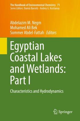 Negm / Abdel-Fattah / Bek |  Egyptian Coastal Lakes and Wetlands: Part I | Buch |  Sack Fachmedien