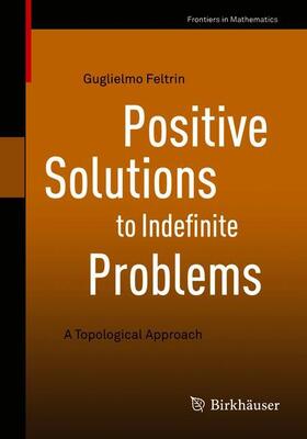 Feltrin |  Positive Solutions to Indefinite Problems | Buch |  Sack Fachmedien