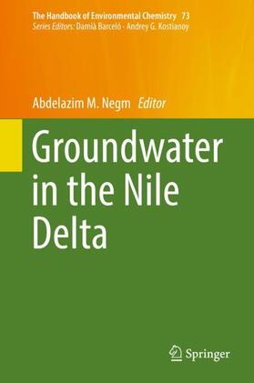 Negm |  Groundwater in the Nile Delta | Buch |  Sack Fachmedien