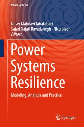 Mahdavi Tabatabaei / Bizon / Najafi Ravadanegh |  Power Systems Resilience | Buch |  Sack Fachmedien