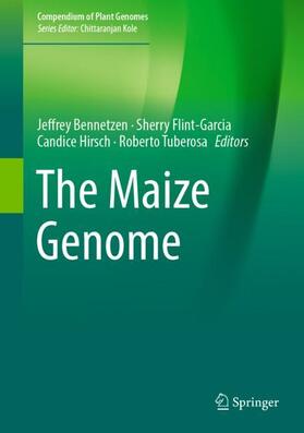 Bennetzen / Tuberosa / Flint-Garcia |  The Maize Genome | Buch |  Sack Fachmedien