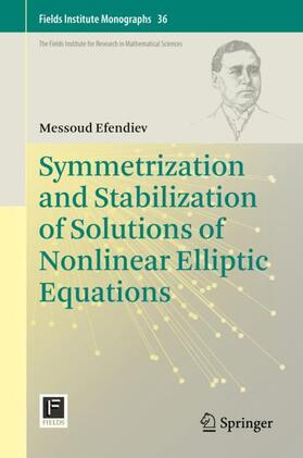 Efendiev |  Symmetrization and Stabilization of Solutions of Nonlinear Elliptic Equations | Buch |  Sack Fachmedien