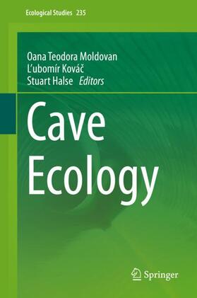 Moldovan / Halse / Kovác |  Cave Ecology | Buch |  Sack Fachmedien