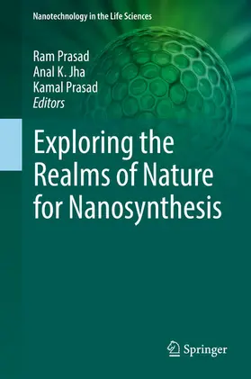 Prasad / Jha |  Exploring the Realms of Nature for Nanosynthesis | eBook | Sack Fachmedien